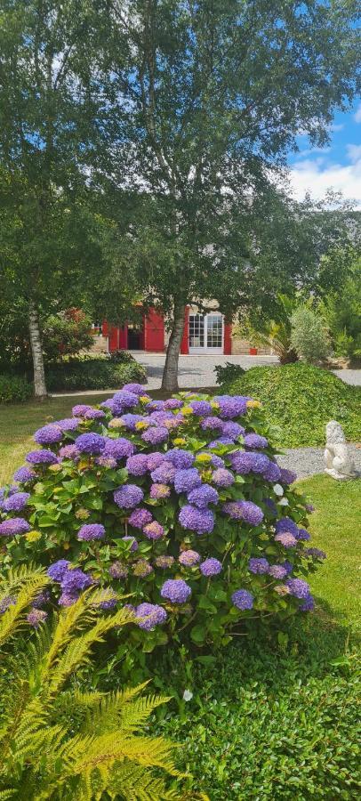 Bed and Breakfast La Pichonniere Isigny-le-Buat Pokoj fotografie